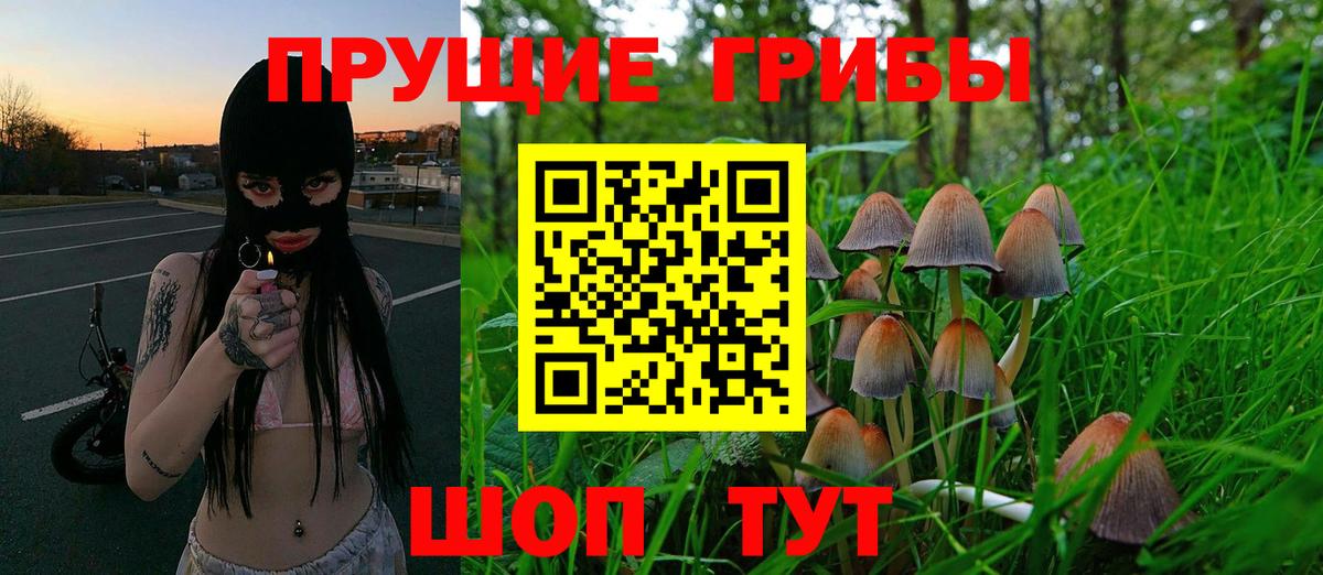 Псилоцибиновые грибы ЛСД Кириши