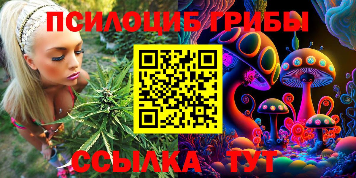 Галлюциногенные грибы GOLDEN TEACHER  где можно купить наркотик  Кириши  Вход с VPN 